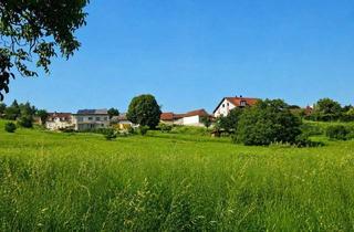 Grundstück zu kaufen in 2100 Leobendorf, Sonniges Baugrundstück in Leobendorf – Ihr Platz für die Zukunft