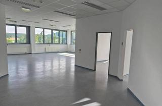 Büro zu mieten in 7540 Güssing, Helle Bürofläche mit Einzelräumen und eigener Teeküche