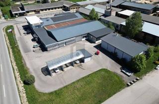 Gewerbeimmobilie kaufen in 5261 Helpfau, LAGERHALLE / GEWERBEHALLE KAUFEN IM BEZIRK BRAUNAU ? CA. 2.400 M² NUTZFLÄCHE MIT VERKAUFSFLÄCHE
