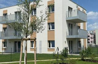 Wohnung mieten in Elisabeth Bollenberger-Gasse 5 u. 9, 2700 Wiener Neustadt, 2-Zimmer-Wohnung mit Balkon, Top 18