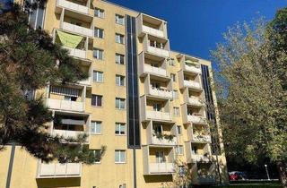 Wohnung mieten in Jenichengasse 5/18, 3500 Krems an der Donau, Jenichengasse 5/18