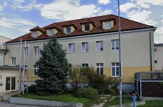 Wohnung mieten in 7000 Eisenstadt, Hofseitig gelegene, übersichtliche Wohnung im Hochparterre