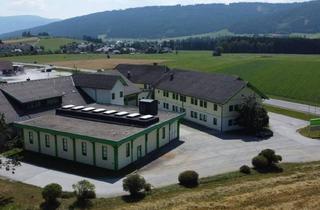 Lager mieten in 5571 Mariapfarr, Perfekte Produktionshallen Für Ihren Unternehmenserfolg