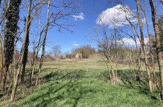 Grundstück zu kaufen in 9552 Steindorf am Ossiacher See, Panorama-Grundstücke in Traumhafter Lage zu Verkaufen - Vásárosmiske (Westungarn)