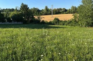 Grundstück zu kaufen in 4600 Wels, Traumhaftes Baugrundstück mit Baubewilligung und Einreichplan