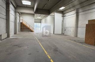 Lager mieten in 2100 Korneuburg, Perfekt Gelegene Lagerhalle mit Büroräumlichkeiten