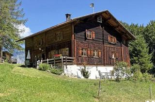 Grundstück zu kaufen in 6774 Tschagguns, Landwirtschaft in Tschagguns