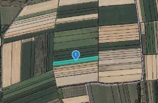 Gewerbeimmobilie kaufen in 3481 Fels am Wagram, ACKERFLÄCHE IN FELS AM WAGRAM - ZUSAMMENHÄNGENDE LANDWIRTSCHAFTLICHE FLÄCHE