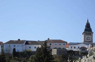 Haus kaufen in 4470 Enns, Großzügiges Stadtbürgerhaus in Aussichtslage mit Top-Ausstattung