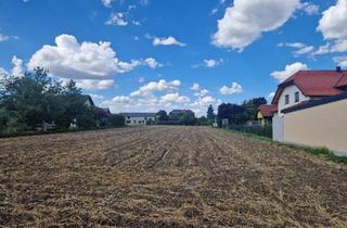 Grundstück zu kaufen in 3454 Maria Ponsee, TRAUMHAFTES BAUGRUNDSTÜCK IN AUSSERGEWÖHNLICH RUHIGER WOHNLAGE VON KAINDORF OHNE BAUZWANG DIREKT AM FELDRAND MIT UNVERBAUTEM FERNBLICK
