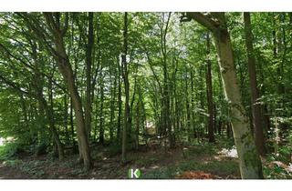 Grundstück zu kaufen in 3004 Riederberg, Herrliche Waldlage! Grundstück nahe Gablitz am Riederberg
