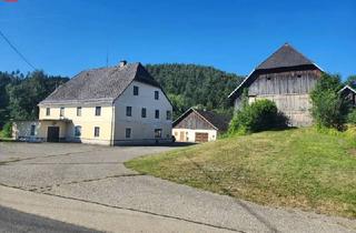 Agrarfläche kaufen in 9113 Ruden, 18 ha Landwirtschaft in Top-Lage – Eben, Arrondiert & mit Hofstelle