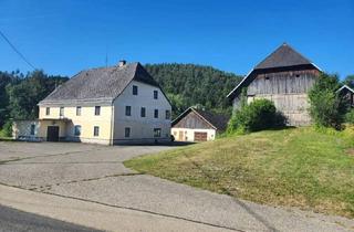 Gewerbeimmobilie kaufen in 9113 Ruden, 18 ha Landwirtschaft in Top-Lage – Eben, Arrondiert & mit Hofstelle