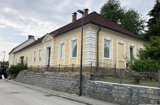 Bauernhäuser zu kaufen in Bahnstraße 83, 3945 Hoheneich, Bauernhaus mit viel Platz und Gestaltungsmöglichkeit|ZELLMANN IMMOBILIEN