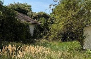Grundstück zu kaufen in 2291 Lassee, Ihr Bauplatz in Lassee – Natur genießen, Stadtnähe nutzen