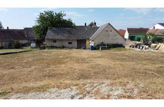 in 2213 Bockfließ, Mein Garten, mein Reich - 401m² in 2213 Bockfließ mieten um 690 €!