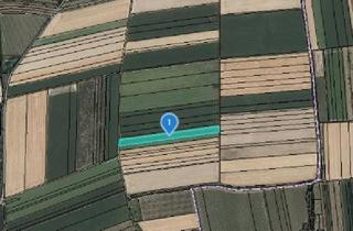 Grundstück zu kaufen in 3481 Fels am Wagram, ACKERFLÄCHE IN FELS AM WAGRAM - ZUSAMMENHÄNGENDE LANDWIRTSCHAFTLICHE FLÄCHE
