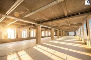 Büro zu mieten in Ungargasse, 1030 Wien, LOFT-BÜRO im "FABIANI-HAUS"