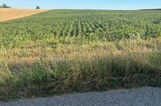 Gewerbeimmobilie kaufen in 3451 Michelhausen, ACKERFLÄCHE IN PIXENDORF - ZUSAMMENHÄNGENDE LANDWIRTSCHAFTLICHE FLÄCHE