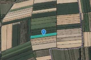 Gewerbeimmobilie kaufen in 3481 Fels am Wagram, ACKERFLÄCHE IN FELS AM WAGRAM - ZUSAMMENHÄNGENDE LANDWIRTSCHAFTLICHE FLÄCHE