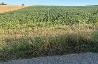 Gewerbeimmobilie kaufen in 3451 Michelhausen, ACKERFLÄCHE IN PIXENDORF - ZUSAMMENHÄNGENDE LANDWIRTSCHAFTLICHE FLÄCHE