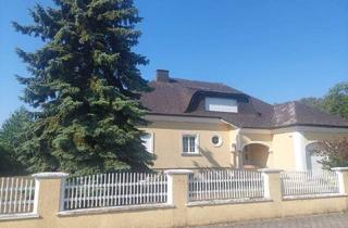 Einfamilienhaus kaufen in 2422 Pama, 2422 Pama - repräsentatives Einfamilienhaus mit großem Grundstück