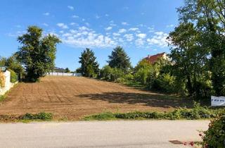 Grundstück zu kaufen in Johann-Weißpriach-Straße, 7000 Eisenstadt, Baugrundstück in BESTLAGE