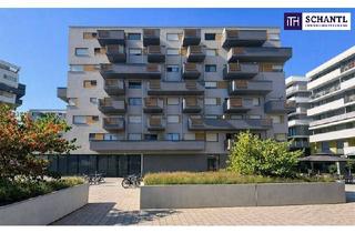 Wohnung kaufen in Stadlauer Straße, 1220 Wien, Urban Chic im 22.: Dein neues City‑Nest – kompakt, modern, sonnig