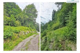 Grundstück zu kaufen in 6370 Kitzbühel, Grundstück mit Perspektive in Kitzbühel