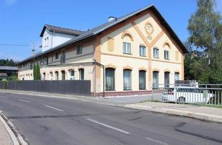 Wohnung kaufen in 8753 Wasendorf, Schöne sanierte Eigentumswohnung inkl. Terrasse und Doppelcarport