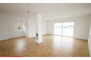 Penthouse mieten in 4020 Linz, Penthousewohnung 96m2 mit 80m2 Terrasse in Steyregg