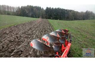 Gewerbeimmobilie kaufen in 4675 Weibern, Sonniger Acker am Südhang im Bezirk Grieskirchen!
