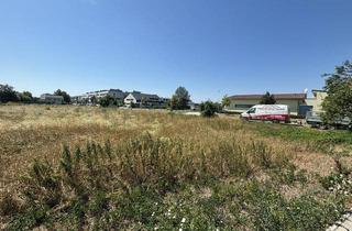 Grundstück zu kaufen in 7100 Neusiedl am See, Großzügige Baugrundstücke in Neusiedl am See * Bauträgereignung