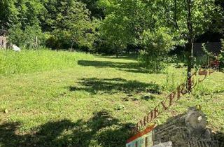 Grundstück zu kaufen in 2452 Mannersdorf am Leithagebirge, Interessantes Baugrundstück in Mannersdorf am Leithagebirge