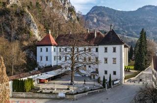 Geschäftslokal mieten in Schlossplatz 8, 6845 Hohenems, Außergewöhnliche Gastronomielocation in Einzigartigem Historischem Umfeld Sucht Neuen Betreiber