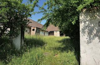 Bauernhäuser zu kaufen in 3823 Wetzles, Altes Bauernhaus mit Scheune auf Etwa 2000M2 Wildem Grundstück