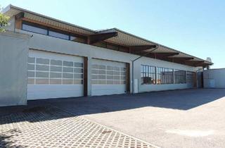 Gewerbeimmobilie mieten in 4784 Schardenberg, Lagerhalle/Produktionshalle mit ca. 1.117m² in Schardenberg zu mieten