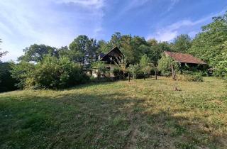 Grundstück zu kaufen in 8046 Graz, Grundstück mit Altbestand – 2.432 m² Bauland & Holzhütte