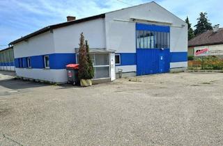 Büro zu mieten in Austinstraße, 3100 Sankt Pölten, Vielseitig nutzbare Industriehalle- 640m² -in St. Pölten Nord