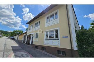 Wohnung mieten in 2451 Hof am Leithaberge, Große Mietwohnung mit Wintergarten zum kleinen Preis in Hof/Leithagebirge!