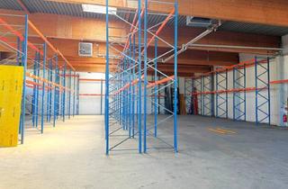 Lager mieten in 1210 Wien, Hochwertige Lagerhalle mit Regalsystem und Palettenwickler