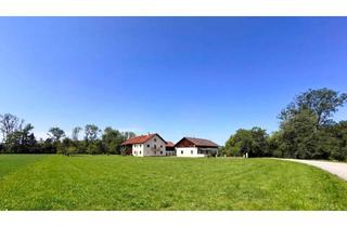 Haus kaufen in 5280 Braunau am Inn, Land & Gut: Solide Hofstelle mit arrondierten Flächen in Endlage