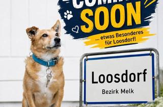 Haus kaufen in 3382 Loosdorf, Coming Soon! Neuwertiger Bungalow in Loosdorf - Barrierefrei!