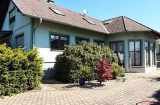 Villen zu kaufen in 7474 Deutsch-Schützen, Ortsrand und Ruhelage - Hochwertige Landvilla mit Großem Pool! Einfach Koffer Packen und Einziehen!