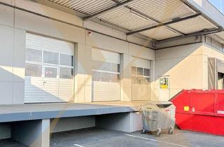 Lager mieten in Im Südpark, 4030 Linz, Halle mit Kleiner Bürofläche im Linzer Gewerbegebiet zu Vermieten!
