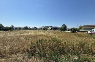 Grundstück zu kaufen in 7100 Neusiedl am See, Eckgrundstück in Neusiedl am See – ca. 758 m²