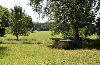 Grundstück zu kaufen in 4963 Sankt Peter am Hart, Projektgrundstück mit über 4.000 m2: Natur, Freizeit & Neubauoptionen