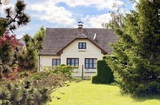 Haus kaufen in 2084 Weitersfeld, Ein Ort, der inspiriert: Wo Leben spürbar wird und Ideen fliegen lernen