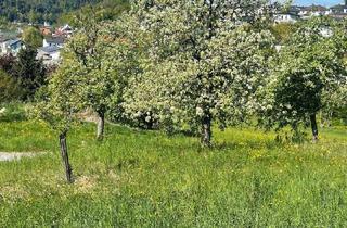 Grundstück zu kaufen in 4111 Walding, Traum-Bauland in Walding: Zentrumslage trifft unverbaubare Weitblick-Panoramalage...