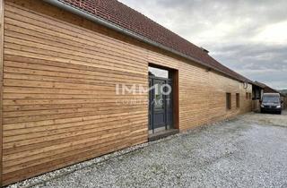 Büro zu mieten in 3495 Rohrendorf bei Krems, ca. 380qm Betriebshallen/Lagerflächen zu vermieten! Nähe Krems, Anbindung S33, B17, S5